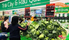 Su hào và bắp cải của Hải Dương được bán với giá 5.900 đồng/kg.