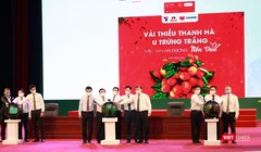 Đại diện các cơ quan, bộ ngành thực hiện bấm nút khởi động chương trình đưa vải thiều và nông sản Hải Dương lên các sàn thương mại điện tử