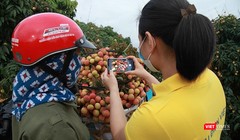 Nhân viên Bưu điện hỗ trợ nông dân đưa nông sản lên sàn TMĐT Postmart.