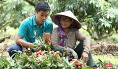 Mỗi hộ gia đình sẽ tạo gian hàng và chủ động đăng bán các sản phẩm trên sàn thương mại điện tử