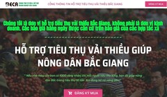 Cổng thông tin hỗ trợ tiêu thụ vải thiều do hiệp hội Doanh nghiệp tỉnh Bắc Giang xây dựng.