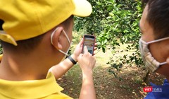 Học viên sẽ được tiếp cận với các nội dung về bán hàng trực tuyến, tiếp thị trực tuyến trên mạng xã hội.