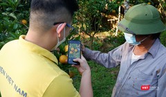 Nông dân được hướng dẫn sử dụng máy tính, điện thoai thông minh, Internet, nền tảng thương mại điện tử… để sớm làm chủ được hình thức bán hàng mới.