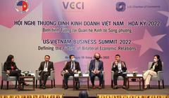 Ông Nguyễn Quang Đồng trao đổi tại phiên thảo luận về Kinh tế số của Hội nghị thượng đỉnh kinh doanh Việt Nam - Hoa Kỳ năm 2022.