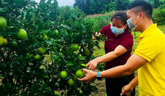 Gian hàng thanh niên khởi nghiệp trên sàn TMĐT Postmart nhằm giúp lực lượng thanh niên trên cả nước, đặc biệt thanh niên nông thôn chuyển đổi số dễ dàng hơn.