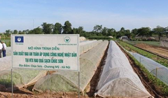 Hợp tác xã Rau quả sạch Chúc Sơn (huyện Chương Mỹ) gặt hái nhiều thành công nhờ chuyển đổi số - Ảnh: VGP/TN