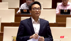 Phó Thủ tướng Vũ Đức Đam giải trình trước Quốc hội.