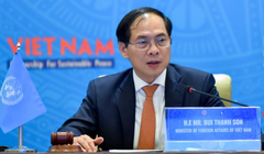 Bộ trưởng Ngoại giao Bùi Thanh Sơn.