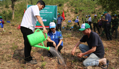 Năm 2021 và 2022, VARS trồng được 313,9 hecta tại 3 tỉnh Sơn La, Quảng Trị và Quảng Bình