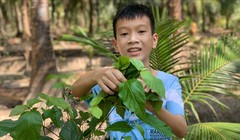 Đào Khương Duy là tấm gương vượt khó học tốt của Trường THCS Huỳnh Tấn Phát, huyện Bình Đại, Bến Tre