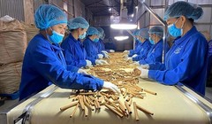 Sắp vinh danh "Vì sự phát triển dược liệu Việt"