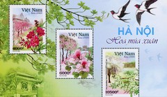 Các loài hoa giới thiệu trong bộ tem được phỏng theo lời bài hát "Hà Nội 12 mùa hoa" của nhạc sĩ Giáng Son.