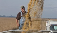 Trong chiến tranh thương mại, nông dân là diện chịu ảnh hưởng nặng nề nhất (Ảnh: AP)