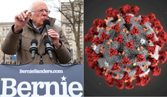 Ứng viên Bernie Sanders bị người dẫn chương trình kênh CNN so sánh với virus corona gây bức xúc (Ảnh: RT)