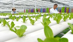 Chuyển đổi số đang được thúc đẩy mạnh mẽ ở vùng nông thôn Trung Quốc (Ảnh: People's Daily)