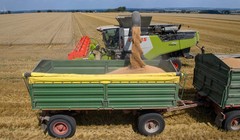 Ảnh minh họa (Getty)