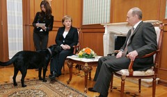 Chú chó Koni của Tổng thống Vladimir Putin bước vào phòng trong cuộc họp giữa ông với Thủ tướng Đức Angela Merkel tại Sochi, Nga, vào ngày 21/1/2007. Ảnh: Sputnik.