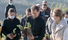 Ông Bashar al-Assad cùng vợ Asma trồng cây ở thành phố Draykish trong một bức ảnh tư liệu. Ảnh: Reuters.