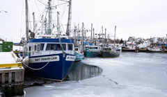 Lệnh áp thuế nhằm vào Canada, Mexico và Trung Quốc của ông Trump có thể làm dấy lên nguy cơ chiến tranh thương mại. Ảnh: Reuters.