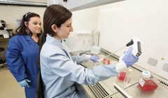 Tiến sĩ Borrello và nhóm của bà đã phát triển hai loại thuốc mới được thiết kế để ngăn chặn hoạt động của HDAC6. Ảnh: IE.