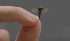 Ảnh chụp màn hình CCTV cho thấy một UAV cỡ con muỗi của Trung Quốc được phát triển tại Đại học Công nghệ Quốc phòng Quốc gia và phù hợp với các hoạt động quân sự bí mật. Ảnh: CCTV.