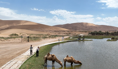 Khách du lịch chụp ảnh lạc đà ở sa mạc Badain Jaran thuộc khu tự trị Nội Mông của Trung Quốc. Ảnh: Xinhua.