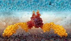 Hình ảnh 3D về liệu pháp CAR-T, cho thấy sự tương tác phân tử giữa tế bào T hoặc tế bào NK và tế bào khối u. Ảnh: Shutterstock.