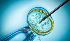 Hình ảnh cận cảnh về thụ tinh trong ống nghiệm. Kiểm tra IQ đã trở thành "xương sống" của một phong trào ưu sinh học mới do Tsvi Benson-Tilsen dẫn đầu. Ảnh: Getty.