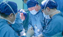 Các nhà khoa học Trung Quốc thành công trong việc ghép tạng lợn cho người. Ảnh: Singtao.