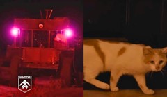 Robot mặt đất được sử dụng để giải cứu (trái) và chú mèo Prapor. Ảnh: IE.