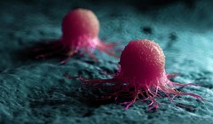 Các nhà nghiên cứu đã xác định được hai enzyme protein đóng vai trò quan trọng trong việc giúp tế bào ung thư tuyến tiền liệt phát triển và kháng lại liệu pháp điều trị. Ảnh: Shutterstock