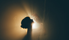 Các nhà khoa học tin rằng con người có thể kéo dài tuổi thọ nhờ vào nghiên cứu một loài động vật có vú sống ở Bắc Cực. Ảnh: Getty.