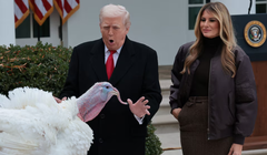 Tổng thống Mỹ Donald Trump và đệ nhất phu nhân Melania Trump bên cạnh Gobble, một trong hai chú gà tây được ân xá trong Lễ Tạ ơn, tại Vườn Hồng ở Nhà Trắng ở Washington, D.C., ngày 25/11. Ảnh: Reuters.