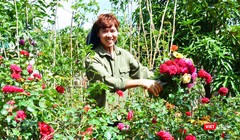 Nguyễn Việt Anh- Chủ vườn hồng lớn nhất Tây Nguyên