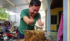 Ông Linh nuôi đàn ong mật với những dụng cụ đã được cải tiến để phù hợp với bản thân.