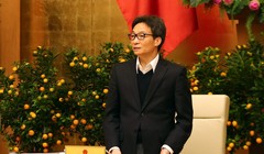 Phó Thủ tướng Vũ Đức Đam. Ảnh: VGP 