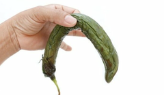 Khả năng "cương cứng" của cậu nhỏ ảnh hưởng không nhỏ đến đời sống vợ chồng và hạnh phúc gia đình (Ảnh minh hoạ) 