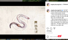 Angela Phương Trinh quảng cáo địa long chữa được COVID-19 trên instagram (Ảnh - VT) 