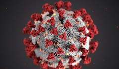 Mô hình virus SARS-CoV-2 (Ảnh - AFP)