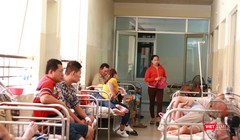 Số lượng bệnh nhân sốt xuất huyết tăng đột biến 