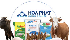 Vì sao “tân binh” IPO Nông nghiệp Hòa Phát được định giá cao nhất ngành?