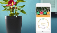 Ảnh: Techmundo.com.br