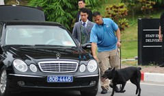 Chó nghiệp vụ Mỹ đánh hơi, phát hiện những thiết bị khả nghi đảm bải an ninh cho phái đoàn quan chức cao cấp của Hoa Kỳ tại Hà Nội.