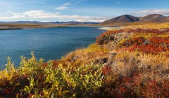 Dân Viễn Đông, Nga nộp hơn một ngàn đơn xin “Héc ta đất miễn phí”