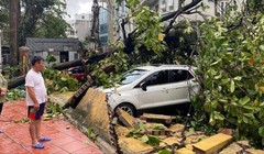 14 người chết, 176 người bị thương do bão Yagi