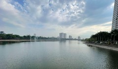Xôn xao clip cá nhảy tanh tách trên mặt hồ Linh Đàm, chuyên gia nói gì?