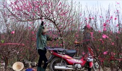 Bộ Nội vụ thống nhất đề xuất nghỉ Tết Ất Tỵ 9 ngày, dịp 30/4 nghỉ 5 ngày