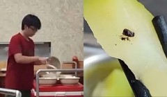 Phó Thủ tướng chỉ đạo xử lý nghiêm vụ sinh viên Bách khoa ăn cơm thừa, có dị vật