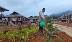 Diện mạo Làng Nủ mới trên đồi Sim