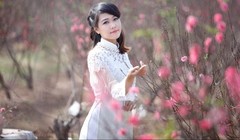 Dự báo thời tiết 3 miền Tết Ất Tỵ 2025